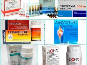 Хондропротекторы